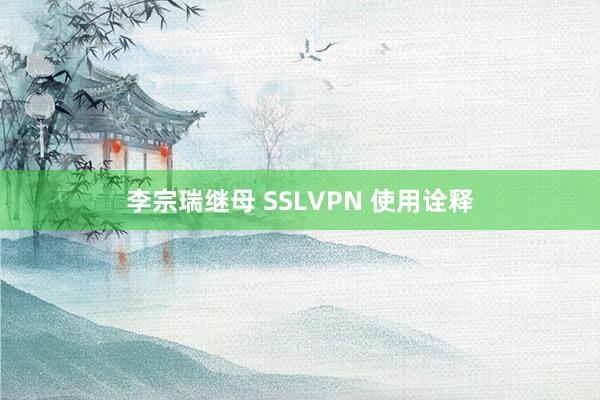 李宗瑞继母 SSLVPN 使用诠释