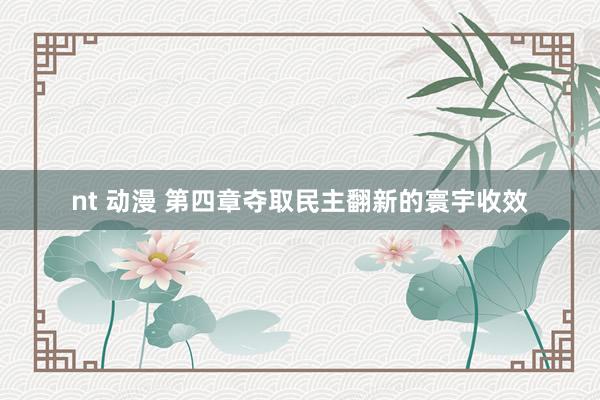 nt 动漫 第四章　夺取民主翻新的寰宇收效