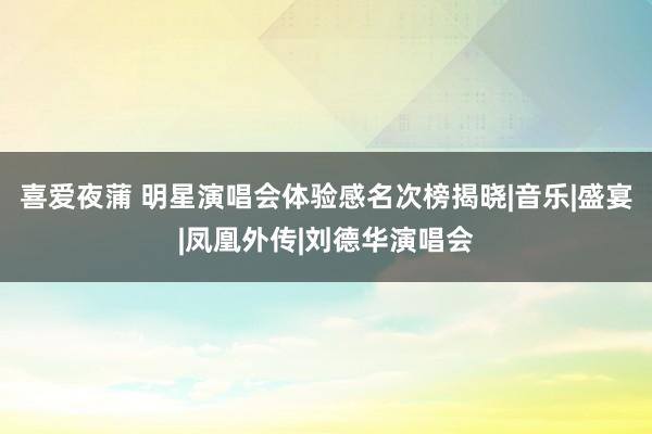 喜爱夜蒲 明星演唱会体验感名次榜揭晓|音乐|盛宴|凤凰外传|刘德华演唱会