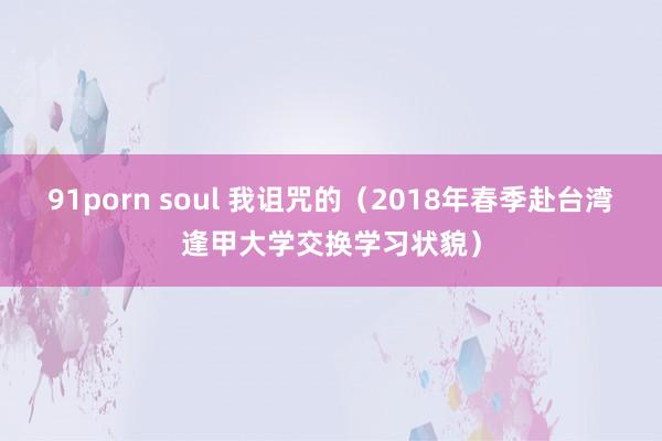 91porn soul 我诅咒的（2018年春季赴台湾逢甲大学交换学习状貌）