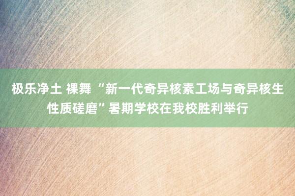 极乐净土 裸舞 “新一代奇异核素工场与奇异核生性质磋磨”暑期学校在我校胜利举行